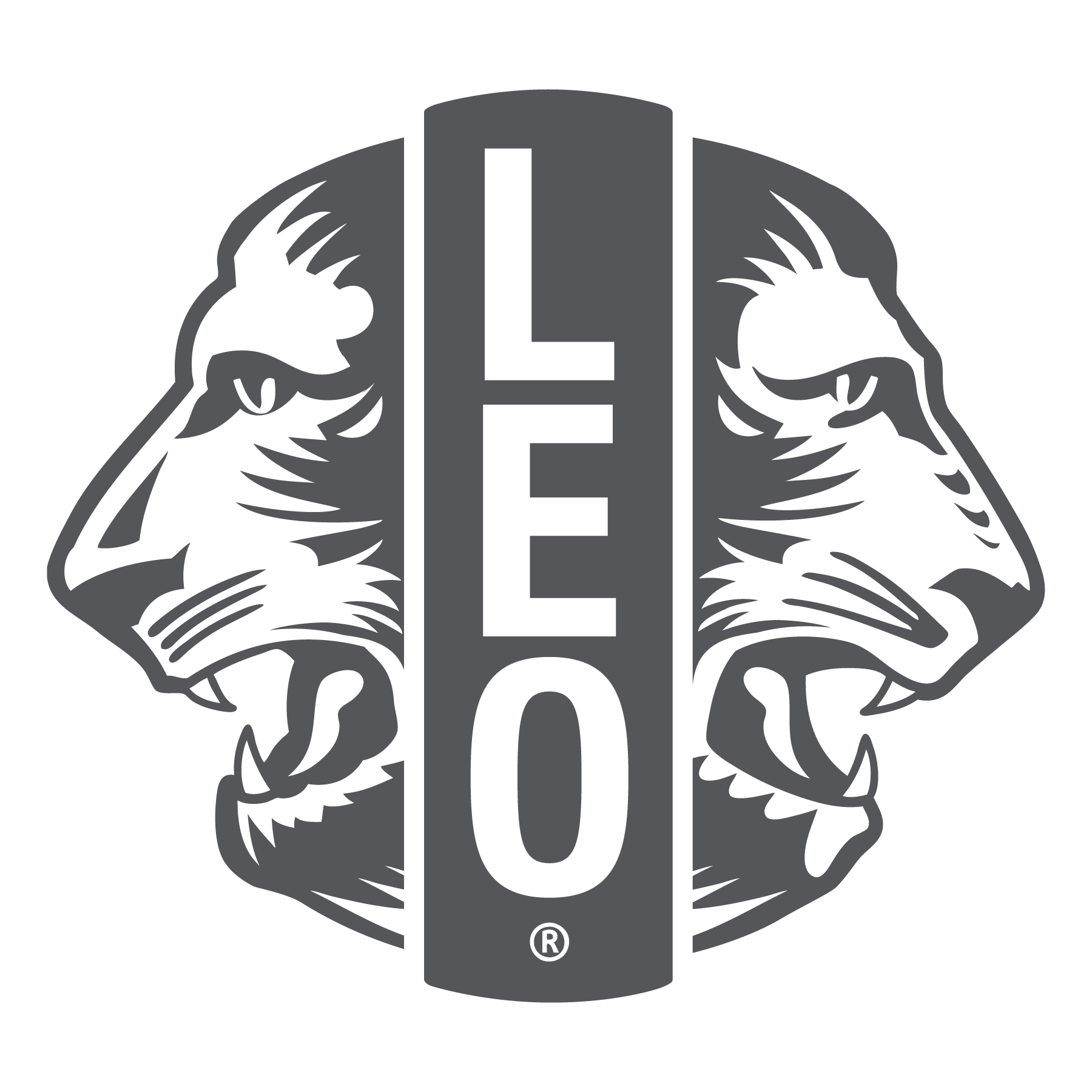 Partner Logo 2